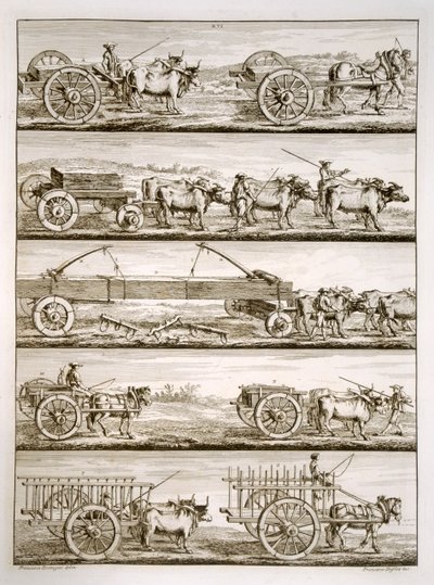 Various carts by Francesco Rostagni
